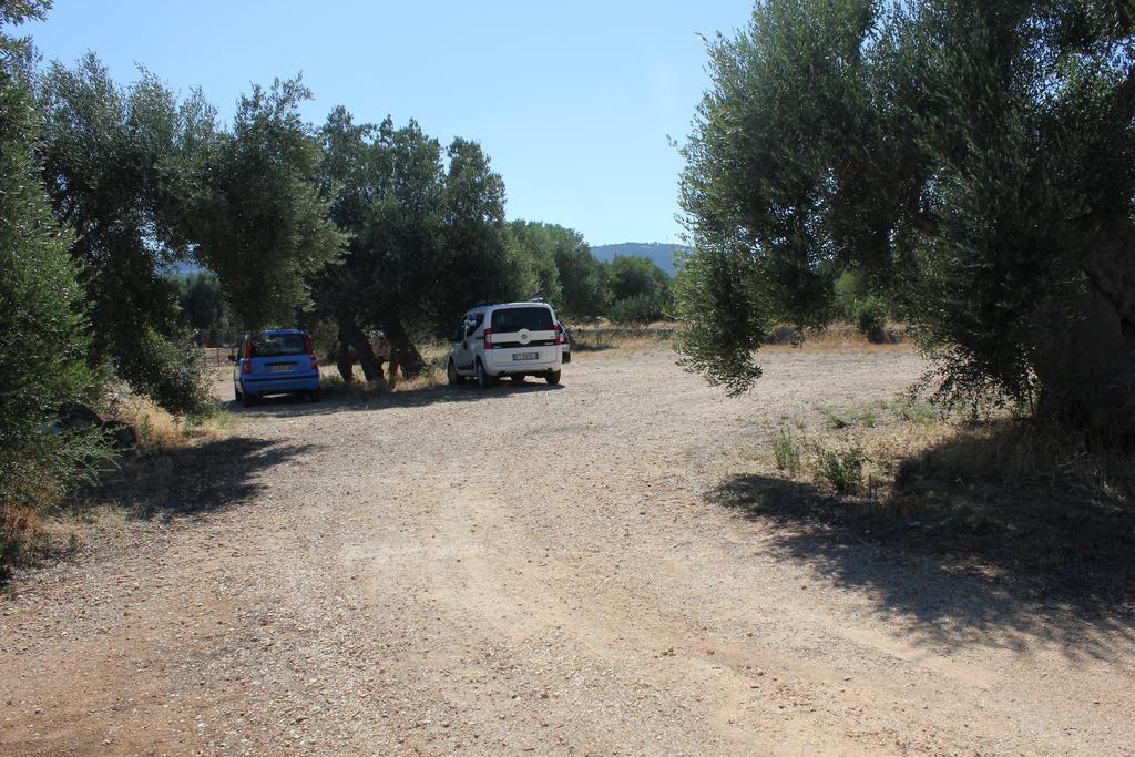 Masseria Vagone Macchia di Monte ภายนอก รูปภาพ